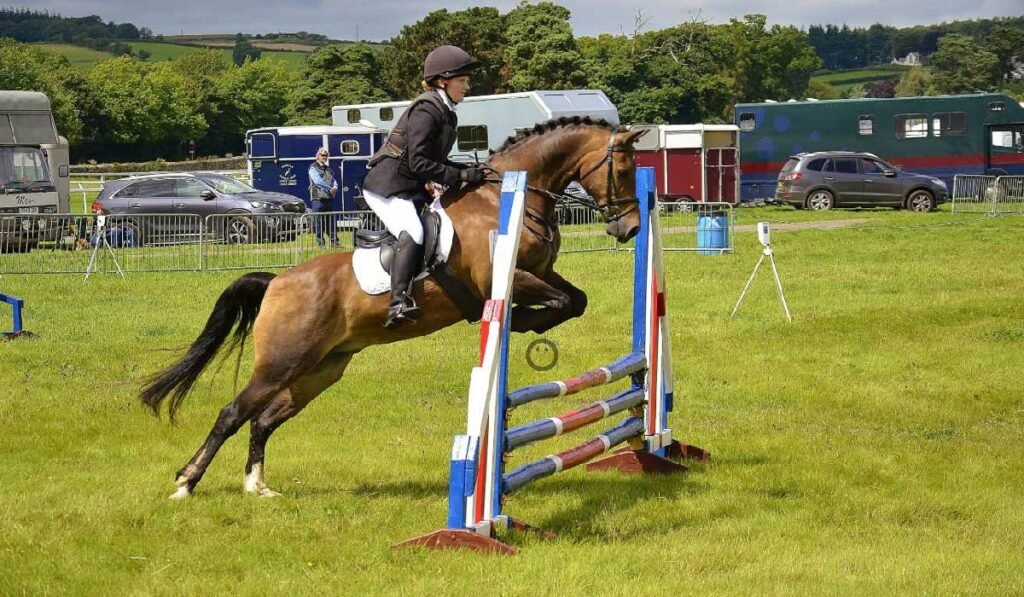 Equestrian Paralympics 2024 2024