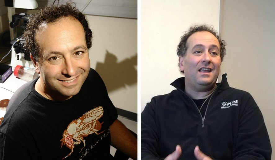 Who Is Michael Eisen? All About the American Biologist and Geneticist michael eisen